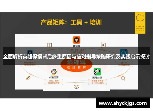 全面解析英超停摆背后多重原因与应对指导策略研究及实践启示探讨